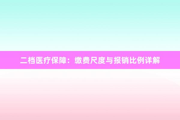 二档医疗保障：缴费尺度与报销比例详解