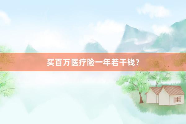 买百万医疗险一年若干钱？