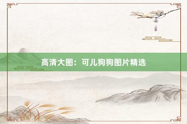 高清大图：可儿狗狗图片精选